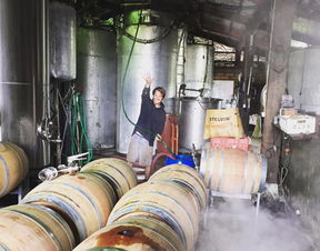 美酒王国进口食品网 一站式进口解决方案